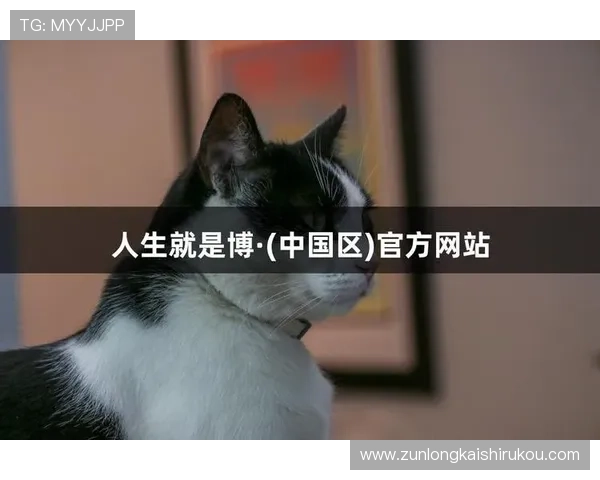 尊龙人生就是博学:探索人生智慧与成功的深度启示